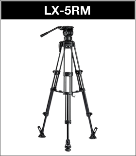 LX5 M